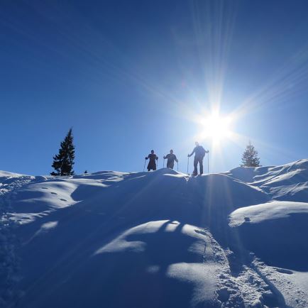 Guided snowshoe hiking