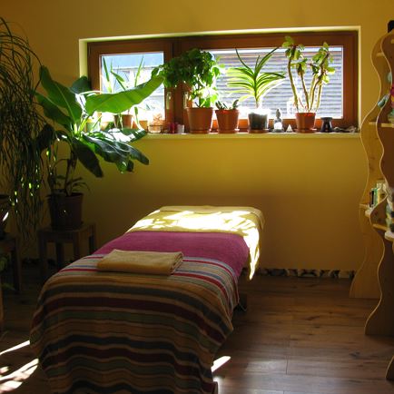Healing massage practice Dr.rer.nat. Linda Teufel