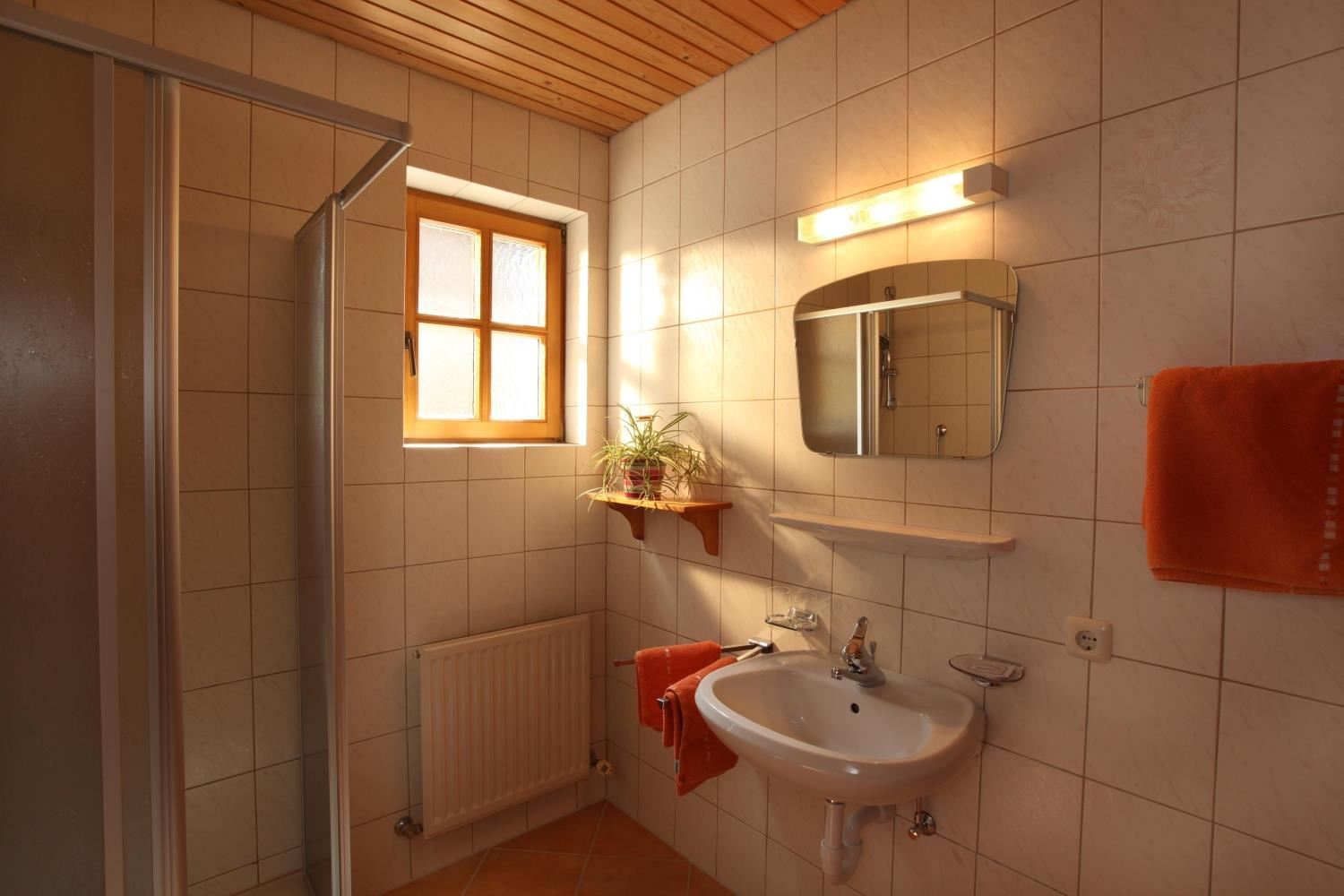 Bauernhof Maurerhof - Itter