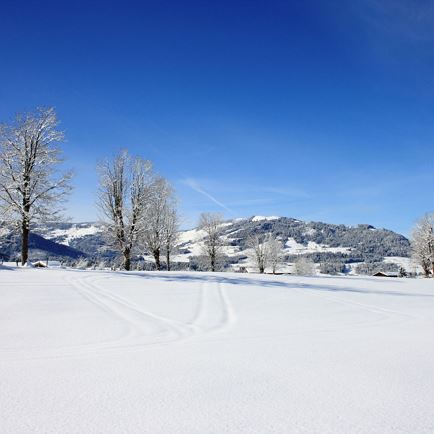 Winter Circular Hiking Route Brixen - Moosen