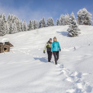 /media/gridteaser/kitzbueheler-alpen-pillerseetal-winterwandern-c-defrancesco-4-6.webp