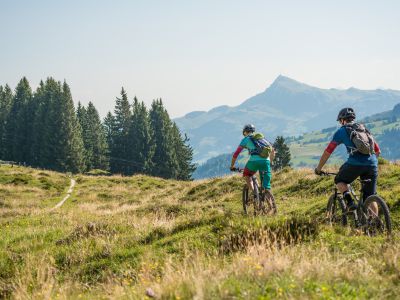 Kitzbüheler Alpen-trailkaart