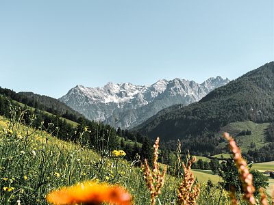 Opening van de zomer in de bergen 