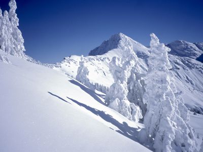 Schneereichste Region Tirols