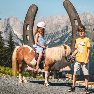 Die Astberg Pony Alm in Going