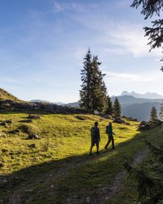 KAT Walk Kitzbüheler Alpen Etappe St. Johann in Tirol - St. Ulrich am Pillersee
