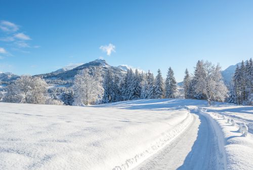 Landschaft Winter Fieberbrunn © Helmut Lackner (14)