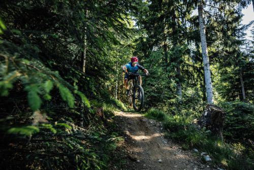 Mountainbike en singletrail - regio St. Johann in Tirol