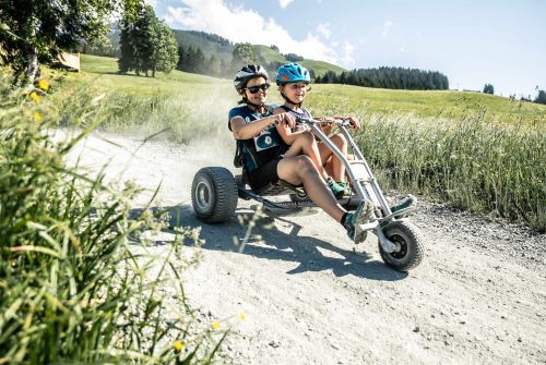 Mountain cart - St. Johann in Tirol region