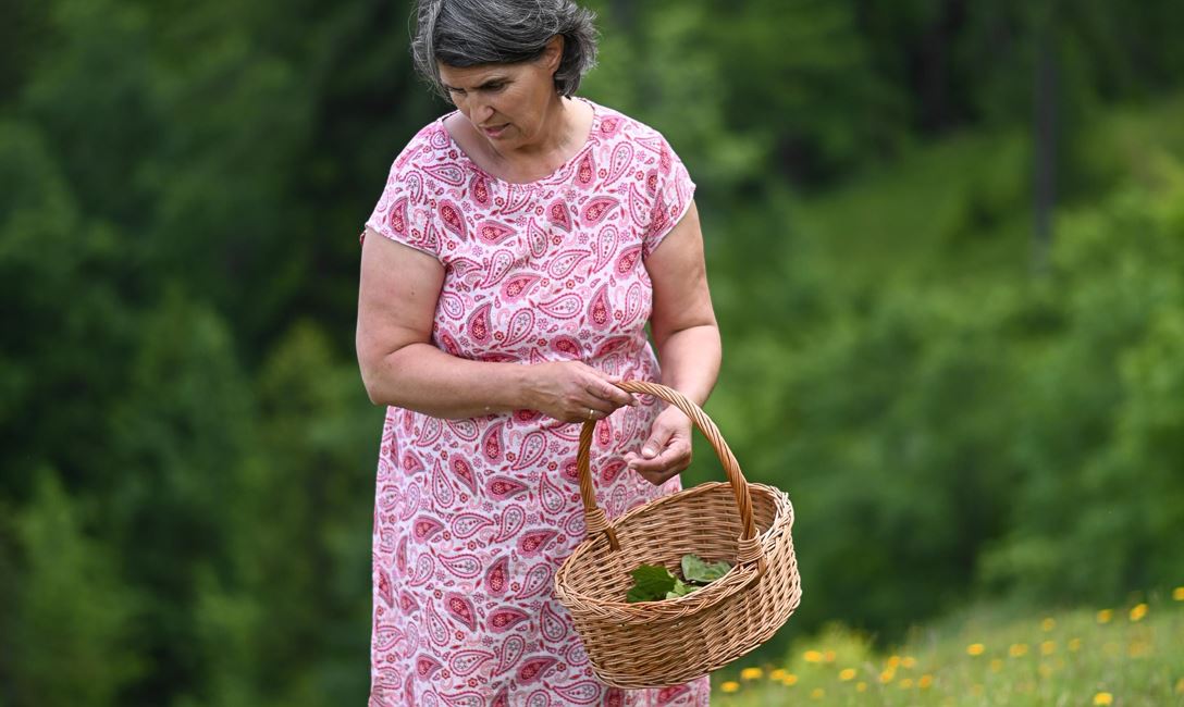 Kräuterwanderung Birgit