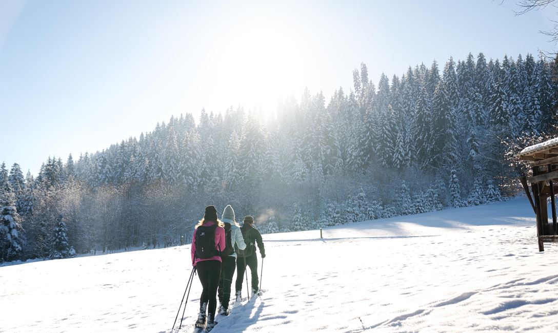 Schneeschuhwandern @Stefan Ringler