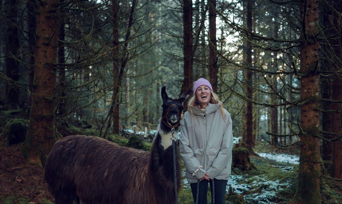 Alpaka @Annamaria Klocker