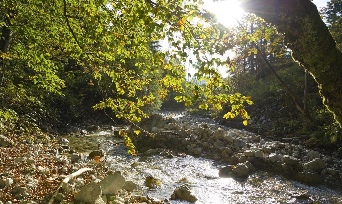 Wandern I