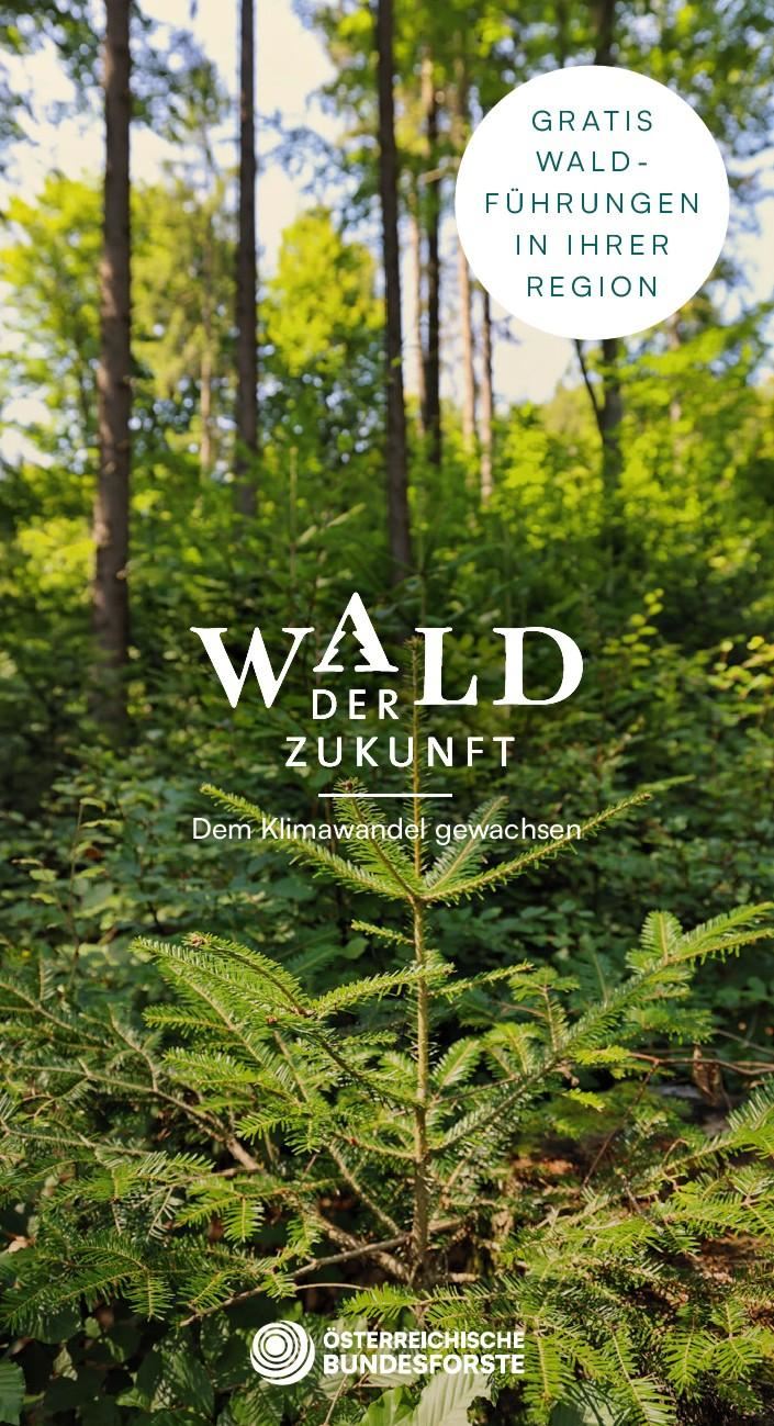 Wald der Zukunft Plakat
