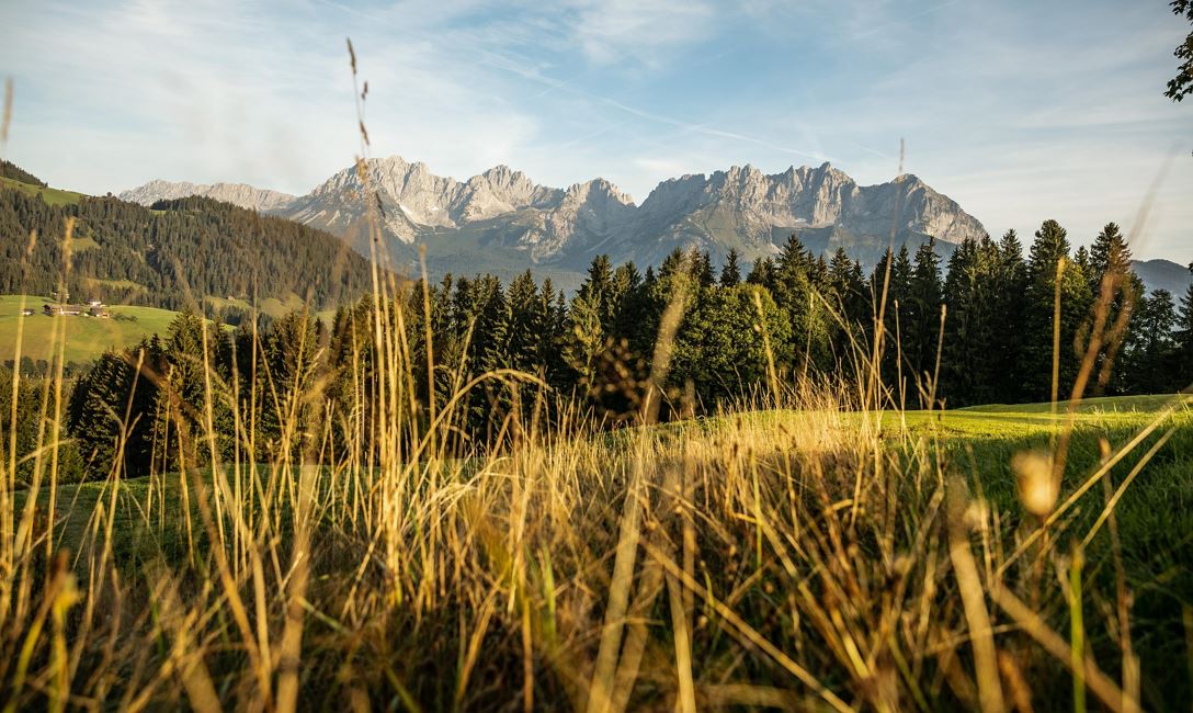 Almererfest Wanderung St. Johann in Tirol 1
