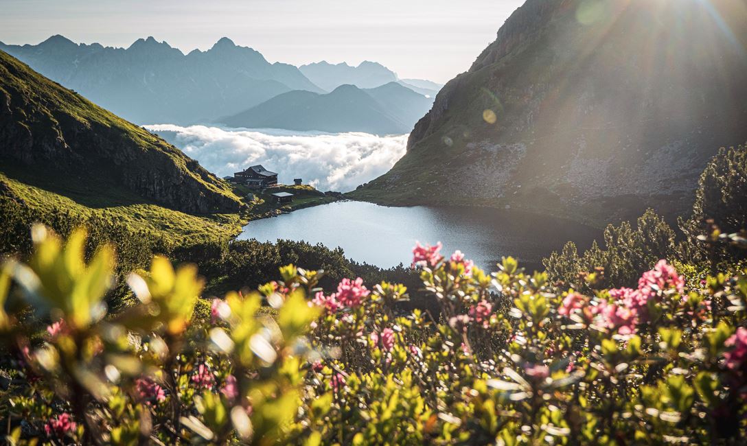 Wildseelodersee