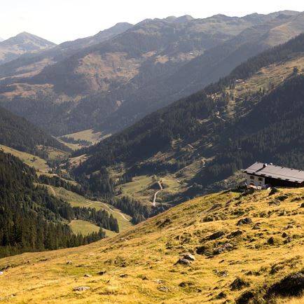 Alpine hike - Insights into summer on the alpine pasture