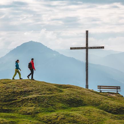 Begeleide wandeling van een hele dag naar de Buchacker