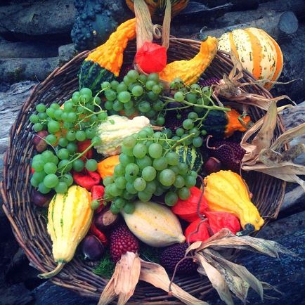 Harvest Festival and Parish Fair