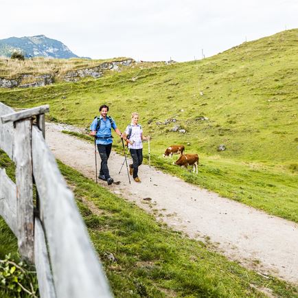 Ganztageswanderung mit Gipfelsieg