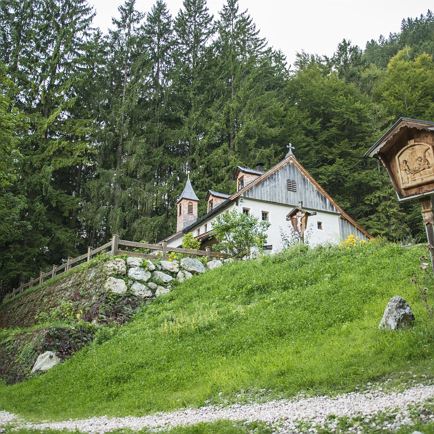 Geführte Wanderung: 'Kräuter- und Almwiesenwanderung'