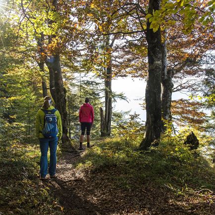 Geführte Wanderung: 'Wald- und Seenwanderung'