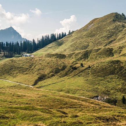 Herbstwanderwochen II & IV: Die ganz spezielle Kalksteintour
