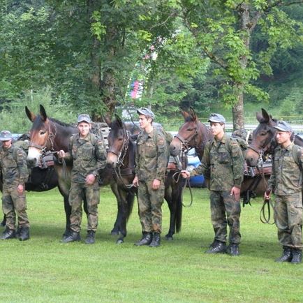 Horse pilgrimage 2023