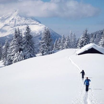Guided ski tour