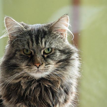 Boekpresentatie door Tamara Lerchner