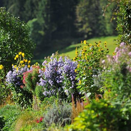Von Natur aus g'sund in Hopfgarten
