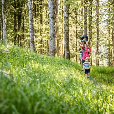 Into the Woods: Silent Walk