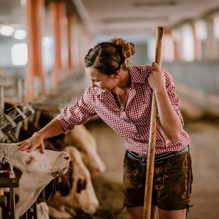 Kuh, Milch & Käse - Besuch auf dem Bauernhof