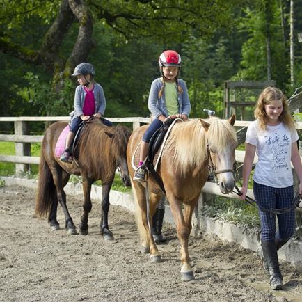 Kinderprogramm: 'Bauernhof und Tiere'
