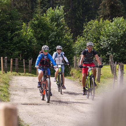Geführte Genusstour zur Käsealm Straubing