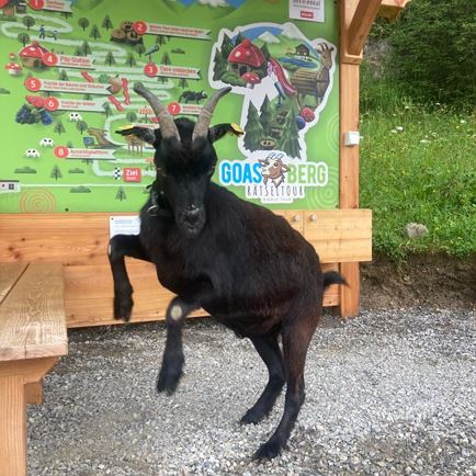 Familiedag: 'Goas' Trekking met speurtocht