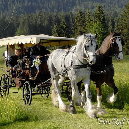 Carriage ride to the Kasplatzl