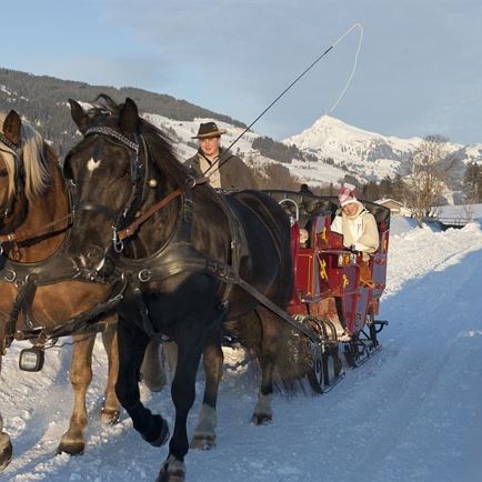 Romantische Pferdeschlittenfahrt zu einem urigen Gasthof