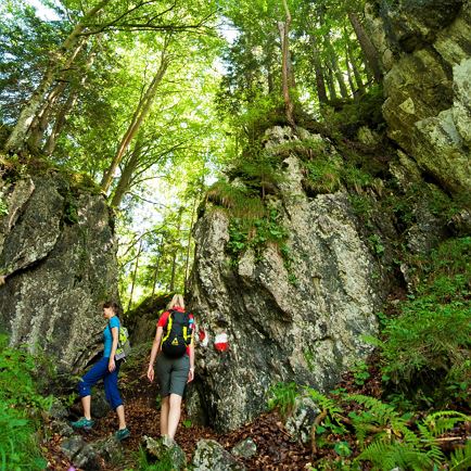 Power Place Hike