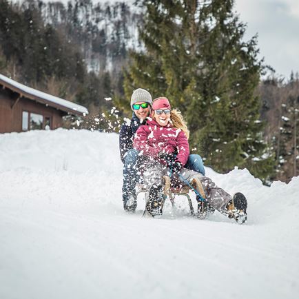 Tobogganing and party with music at the Bacheralm