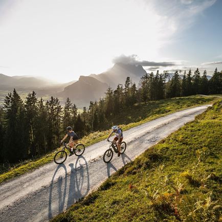 E-Mountainbike Basics