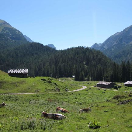 Almwanderung