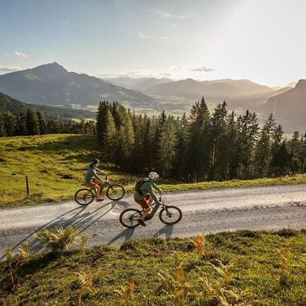 Alpen E-Bike Pleziertocht