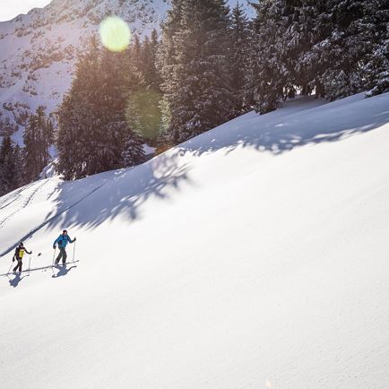 Skitour Plus - Gruppentag