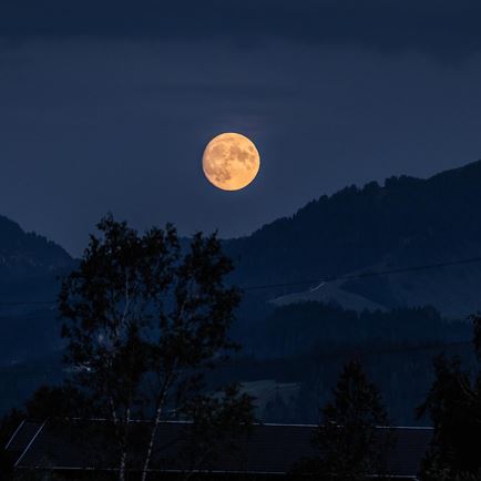 Summer-Special: Guided Full Moon Hike to Einsiedelei Hermitage