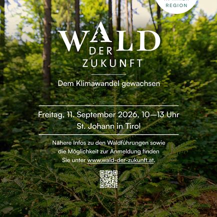 The Forest of the Future: A guided forest walk in St. Johann in Tirol