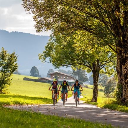 Geführte Gourmet E-Bike Tour 1