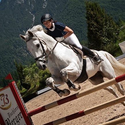 Reitturnier - Springen
