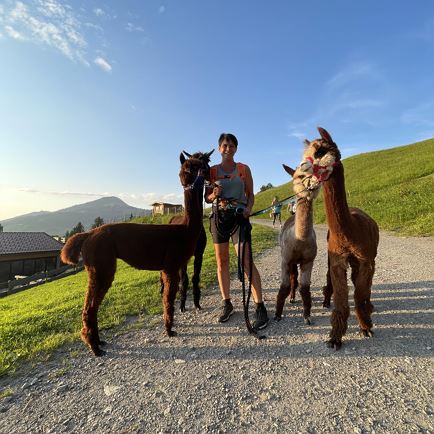 Alpaca hike for young and old