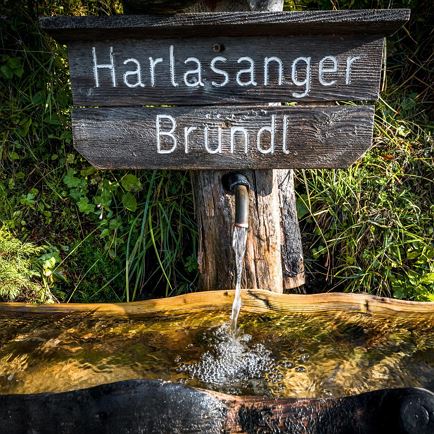 Höhenwanderung oberhalb von Westendorf
